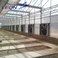 Leon Series hollow polycarbonate greenhouse for agriculture